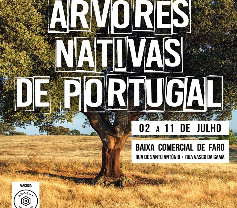 Exposição «Árvores Nativas de Portugal» Patente na Baixa de Faro