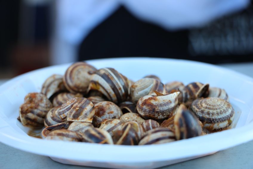 Festa do Caracol está de volta a Faro com música e petiscos