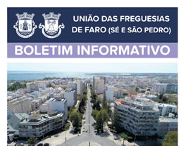Boletim informativo n6